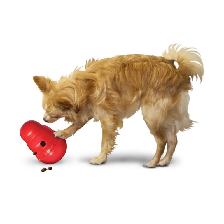 10 Best Toys To Keep Your Dog Busy Indoors Dog Toys Advisor