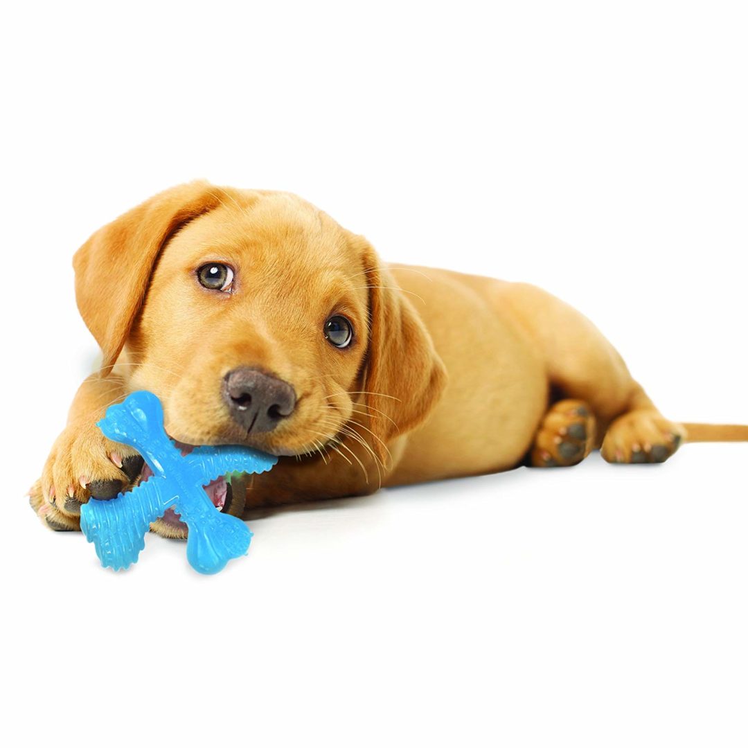 best-puppy-toys-of-2019-reviews-dog-toys-advisor