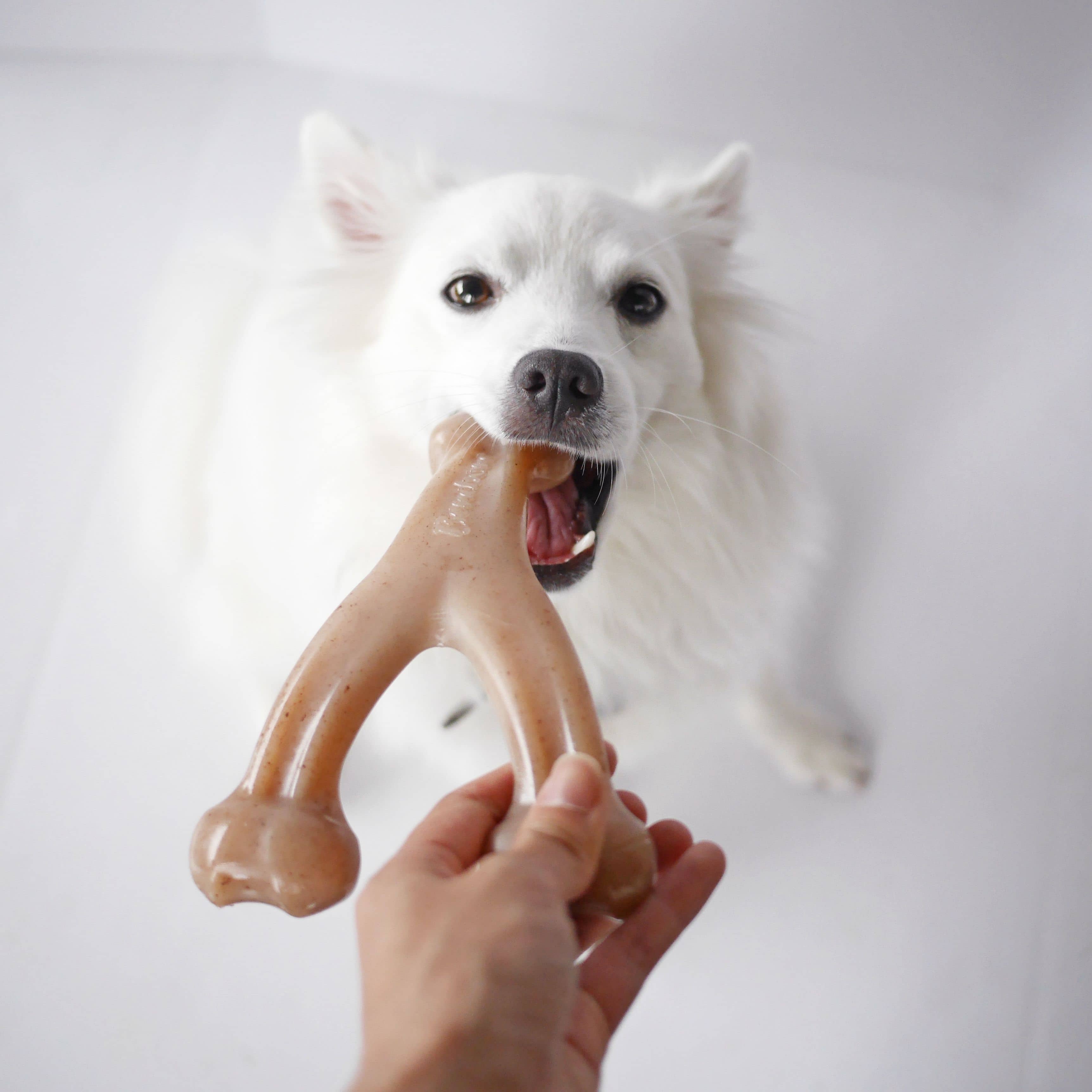 stuffed dog toys for aggressive chewers