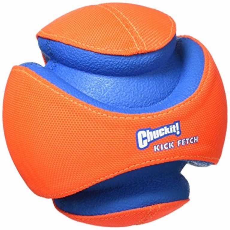 Chuckit! Kick Fetch Toy Ball for Dogs Dog Toys Advisor