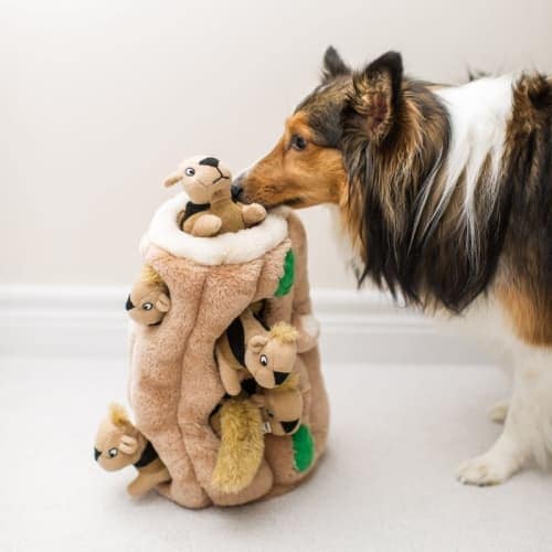 best stuffed dog toys