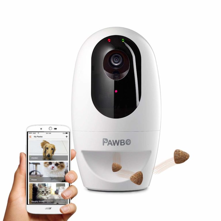 Best Pet Cameras Of 2019 (Reviews) Dog Toys Advisor