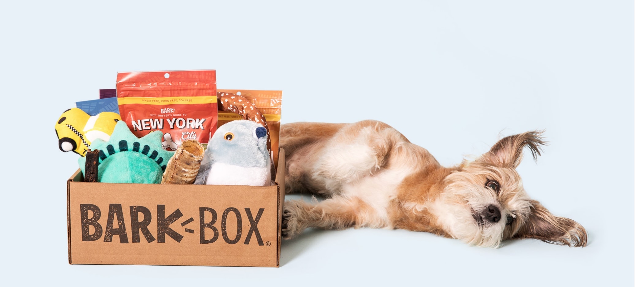 bark box subscription box for dogs Dog Toys Advisor