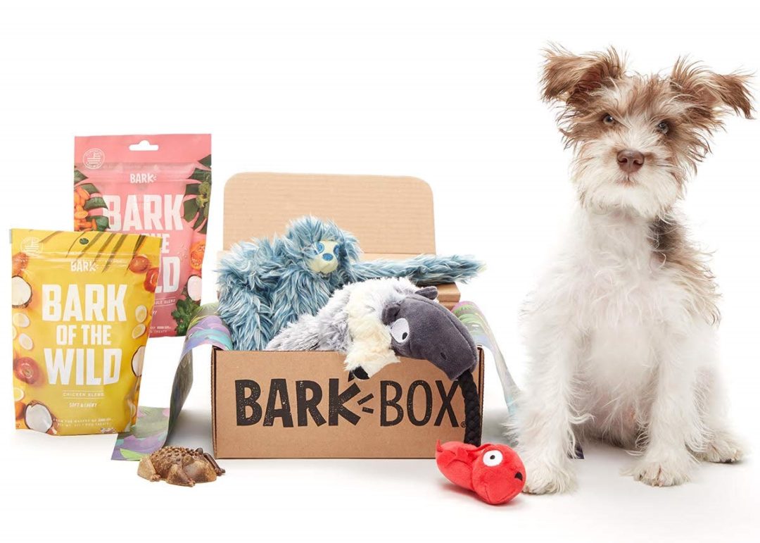 BarkBox - The Best Gift You’ll Ever Get for Your Dog | Dog Toys Advisor