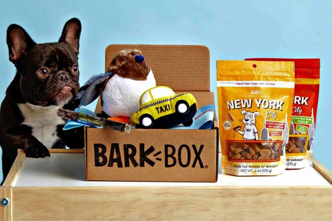 barkbox hidden toys